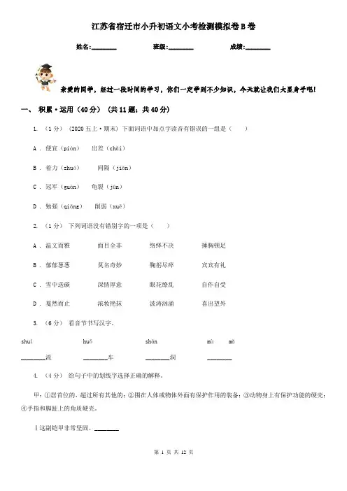 江苏省宿迁市小升初语文小考检测模拟卷B卷