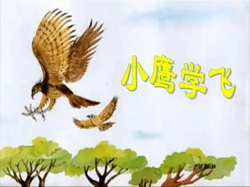 苏教版二年级语文上8《小鹰学飞》小学课件