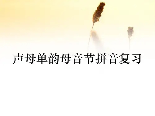 声母单韵母音节拼音复习(收藏)