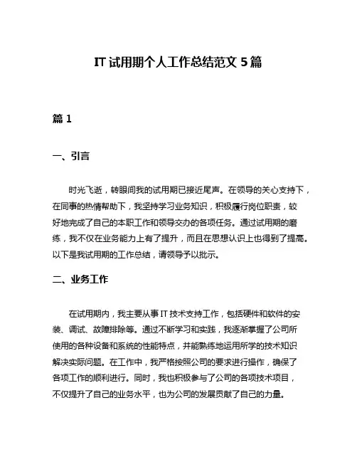 IT试用期个人工作总结范文5篇