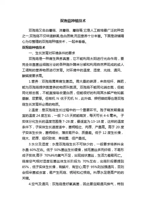 双孢菇种植技术