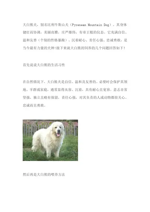 饲养大白熊的几点实用技巧!