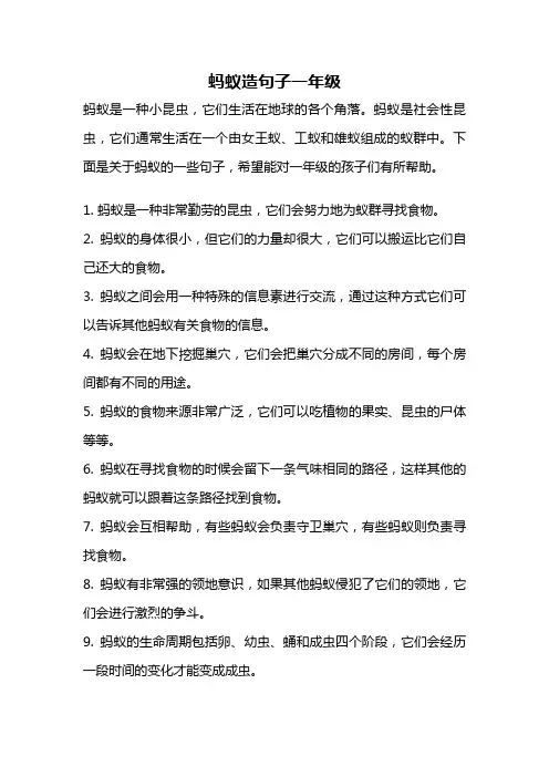 蚂蚁造句子一年级