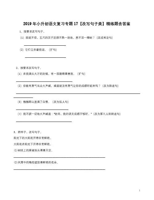 2019年小升初语文复习专题17【改写句子类】精练题含答案