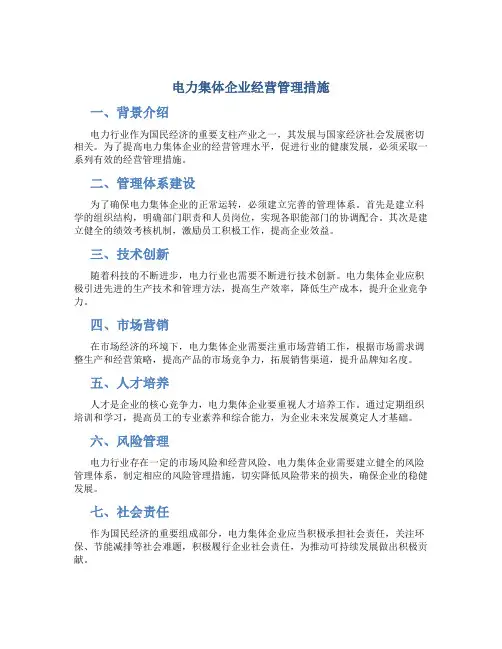 电力集体企业经营管理措施