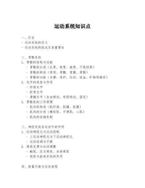 运动系统知识点
