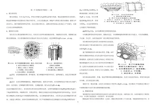 植物的营养器官——根