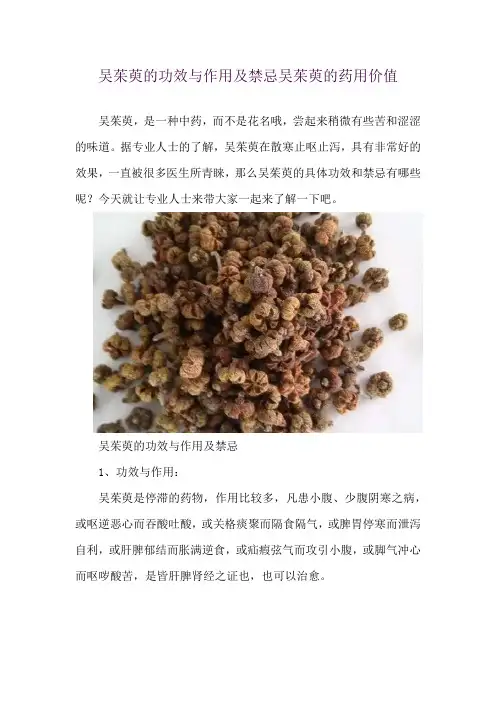 吴茱萸的功效与作用及禁忌 吴茱萸的药用价值