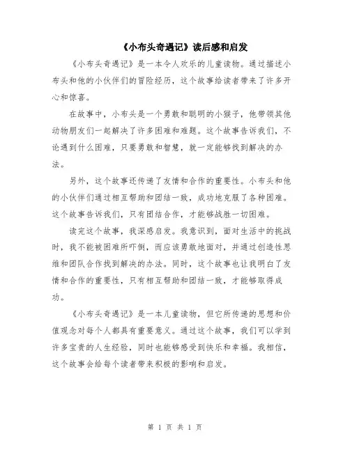 《小布头奇遇记》读后感和启发