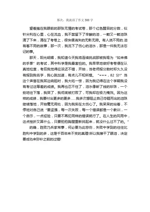 那次，我流泪了作文500字