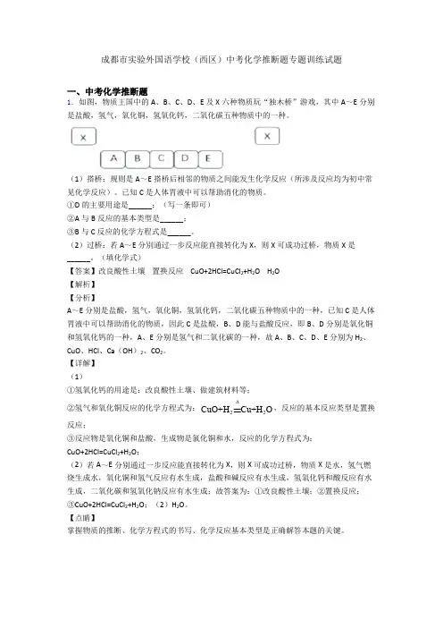 成都市实验外国语学校(西区)中考化学推断题专题训练试题