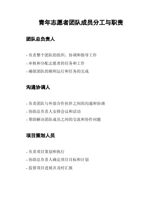 青年志愿者团队成员分工与职责
