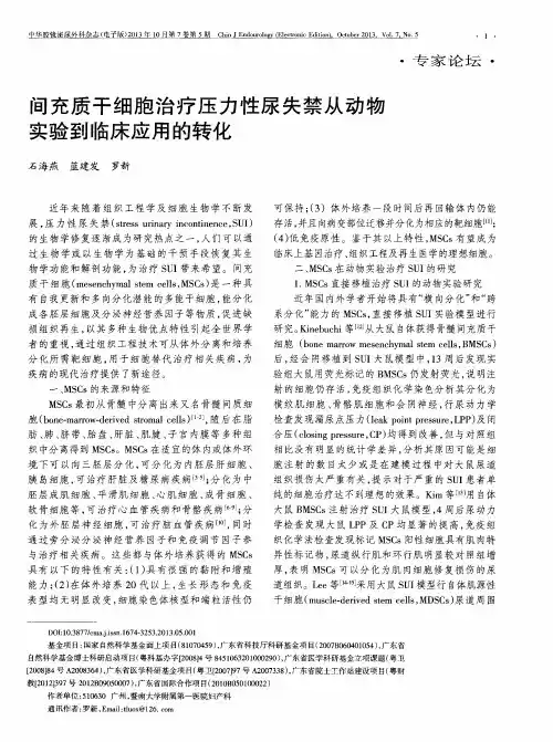 间充质干细胞治疗压力性尿失禁从动物实验到临床应用的转化