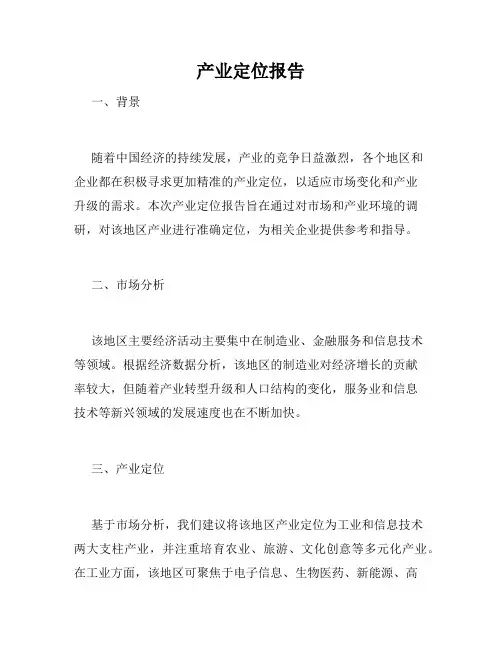 产业定位报告