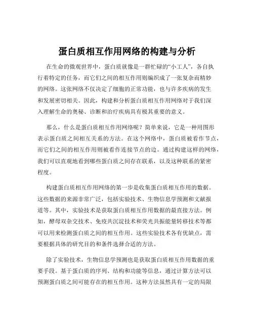 蛋白质相互作用网络的构建与分析