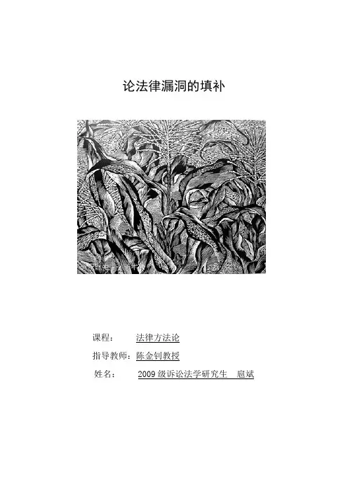 论法律漏洞的填补