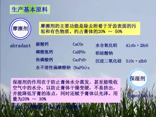 牙膏的生产工艺ppt课件