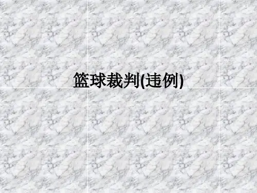 篮球裁判(违例)ppt课件