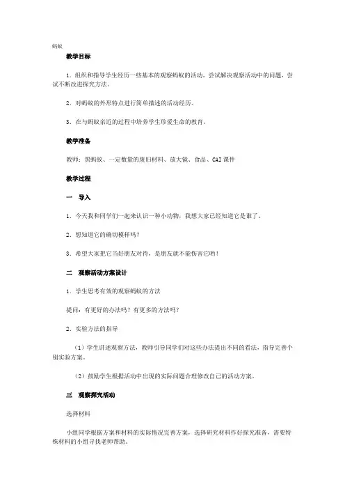教学设计 蚂蚁
