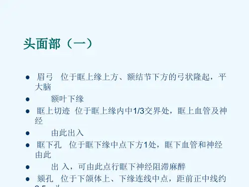 人体解剖体表标志