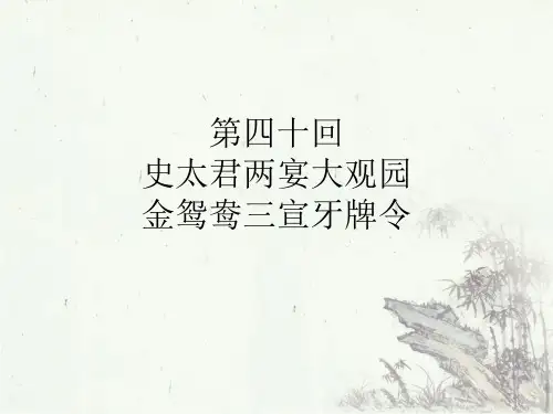 红楼梦40回解读