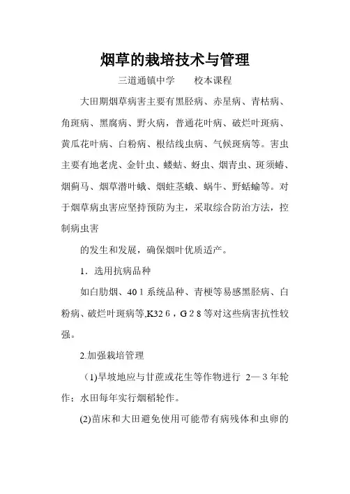 烟草的栽培技术与管理