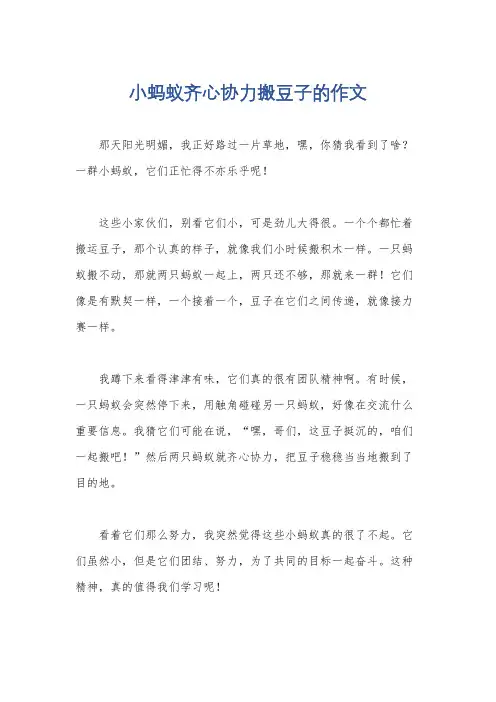 小蚂蚁齐心协力搬豆子的作文