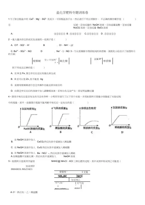 2018年中考化学《盐化学肥料》专题训练卷新人教版