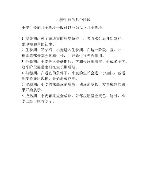 小麦生长的几个阶段