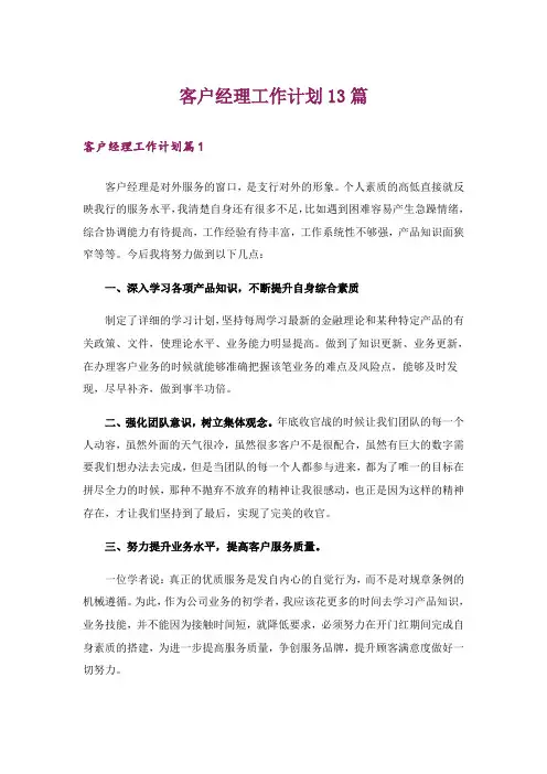 客户经理工作计划13篇
