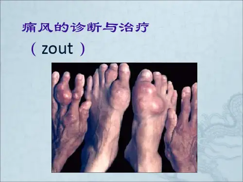 痛风的诊断与治疗讲课精品PPT课件