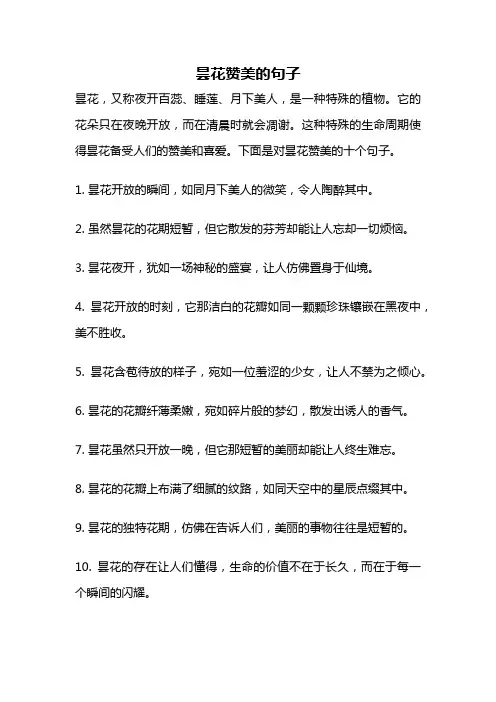 昙花赞美的句子