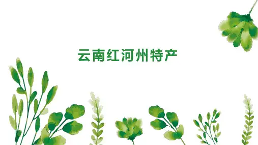 云南红河州特产