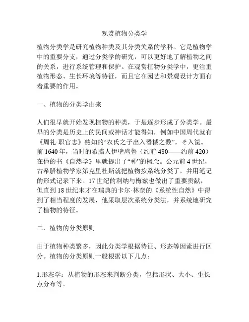 观赏植物分类学