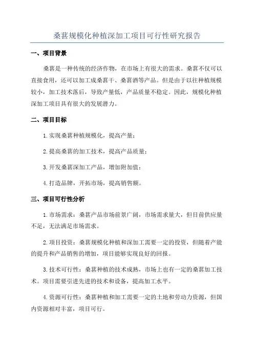 桑葚规模化种植深加工项目可行性研究报告