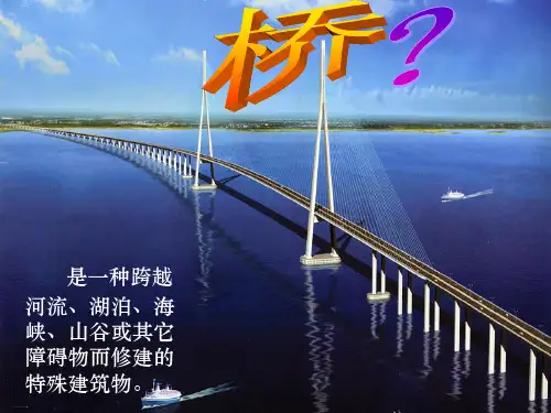 教科版《桥的形状和结构》精品教学课件16