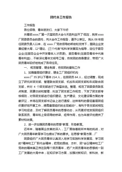 团代会工作报告