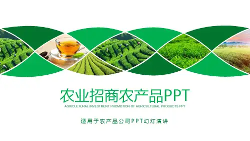 小清新绿色生态农业招商农产品PPT模板