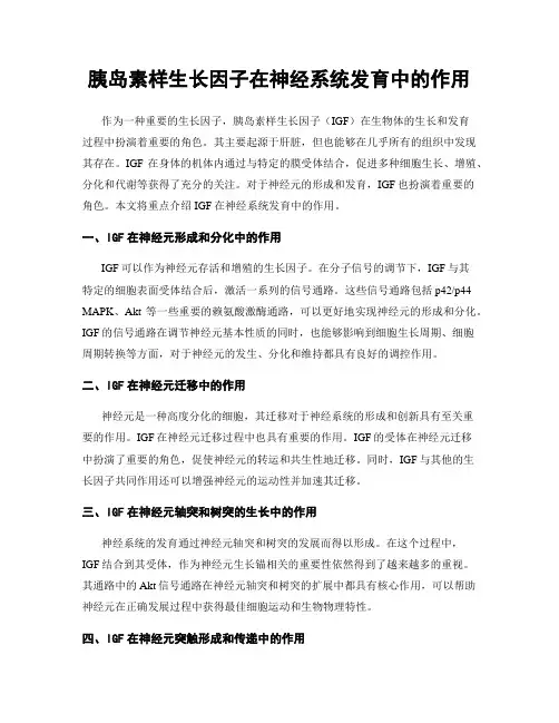 胰岛素样生长因子在神经系统发育中的作用