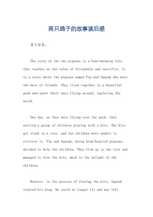 两只鸽子的故事读后感