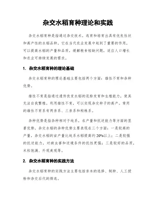 杂交水稻育种理论和实践