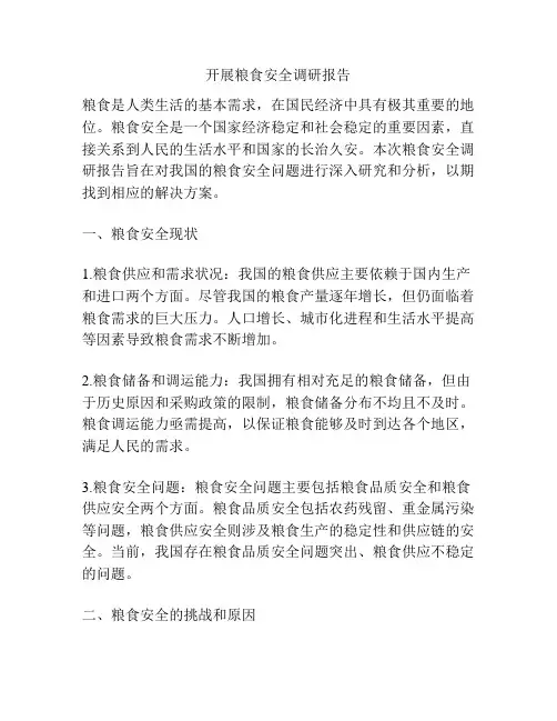 开展粮食安全调研报告