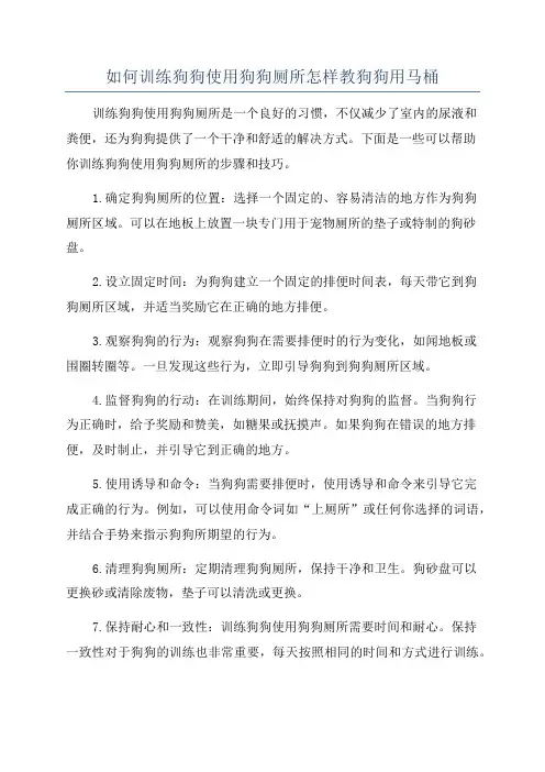 如何训练狗狗使用狗狗厕所怎样教狗狗用马桶