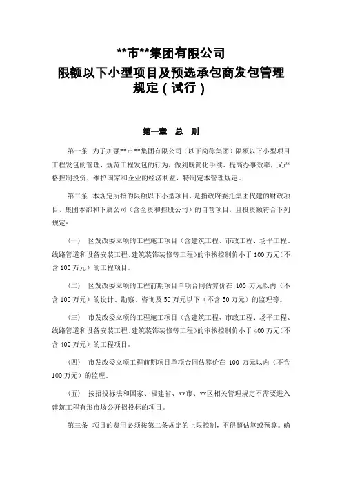 集团限额以下投资项目发包管理规定(试行)