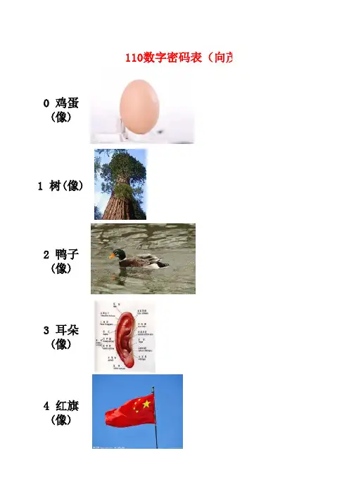 数字密码表