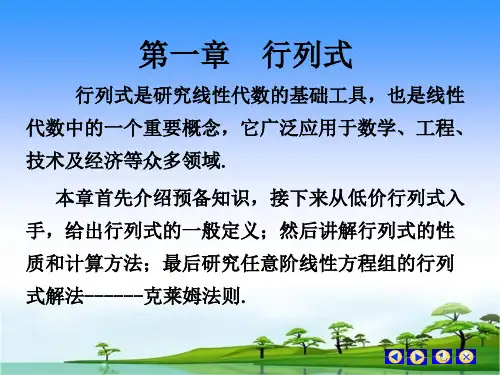 1-1(线性代数 第一章)