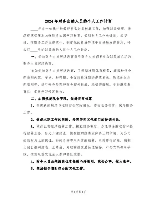 2024年财务出纳人员的个人工作计划(五篇)