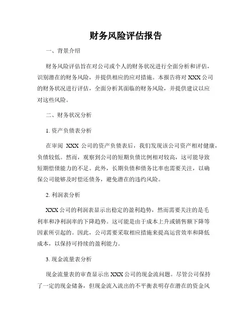 财务风险评估报告
