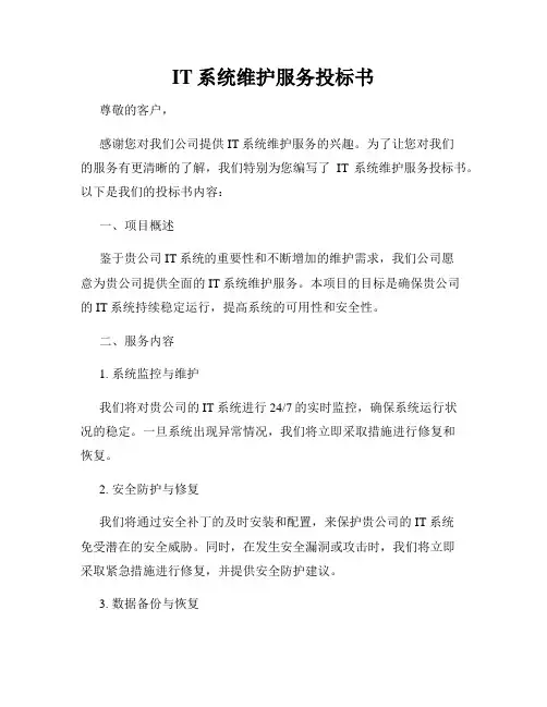 IT系统维护服务投标书