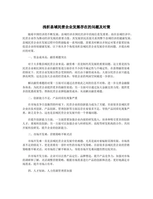 浅析县域民营企业发展存在的问题及对策